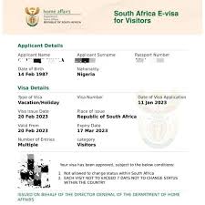 How To Apply For South Africa Evisa For Travel 10